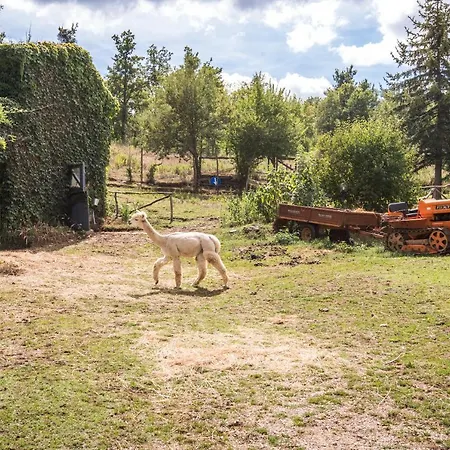Lavanda Lägenhet