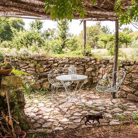 Lavanda Apartment Montieri